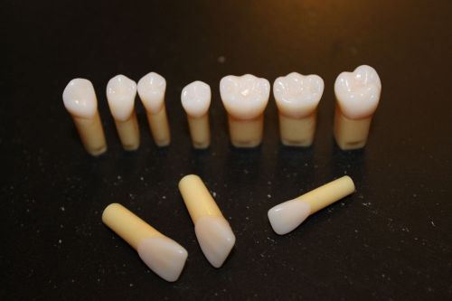 Kilgore Nissin A20AN-200 Composite Resin Teeth with Natural Hardness
