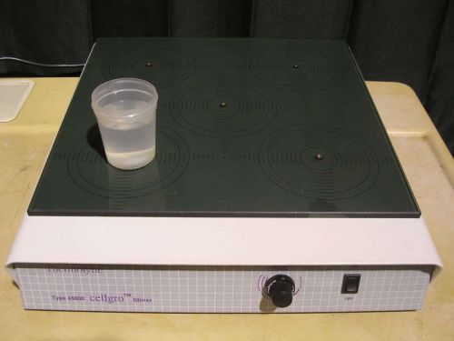 Thermolyne cellgro 45600 magnetic 5 place stirrer for sale