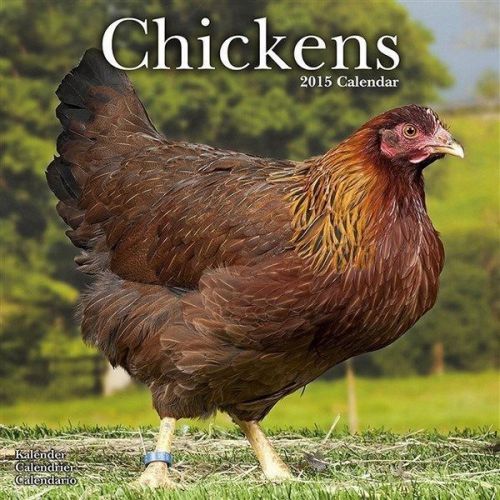 NEW 2015 Chickens Wall Calendar by Avonside- Free Priority Shipping!