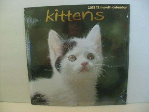 Kittens 2015 Wall Calendar  - New &amp; Sealed - Makes A Great Gift!