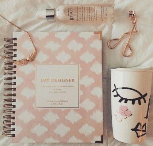 New L/E Whitney English Day Designer Planner PINK IKAT 2015 simplified
