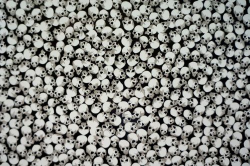 Tiny skulls hydrographic film for sale