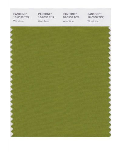 NEW PANTONE SMART 18-0538X Color Swatch Card, Woodbine