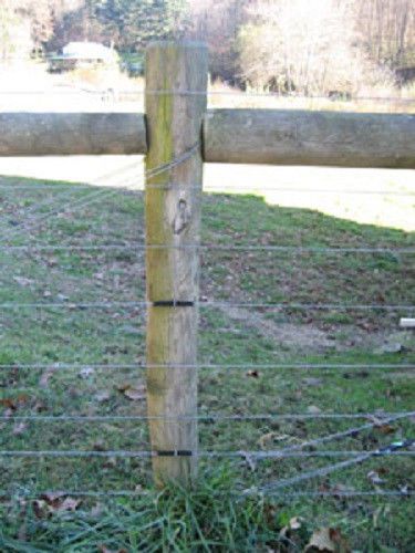 Gripple end post anchor system saves time 25 pack  for trellis or fence for sale