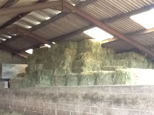 Hay bales for sale Stoke on Trent