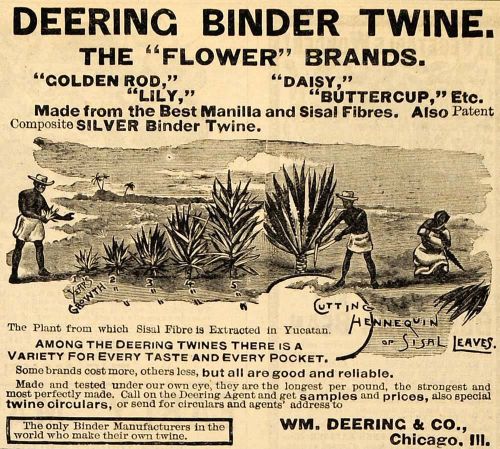 1890 ad william deering binder twine flower brands golden rod gardening aag1 for sale