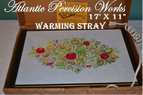 Warming Tray by Atlantic Precision /In the Box - 17&#034; x 11&#034;