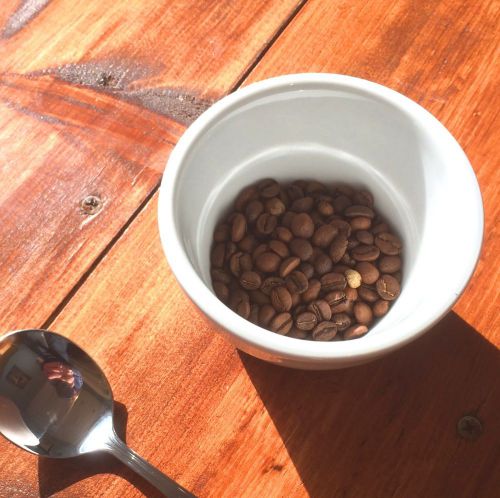 Coffee Cupping Bowls-SCAA Standard-FREE SHIPPING!