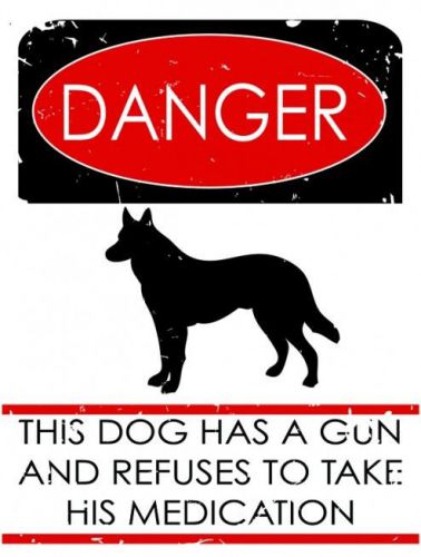 Danger Dog has Gun Animal Pet Owner Humor Metal Sign