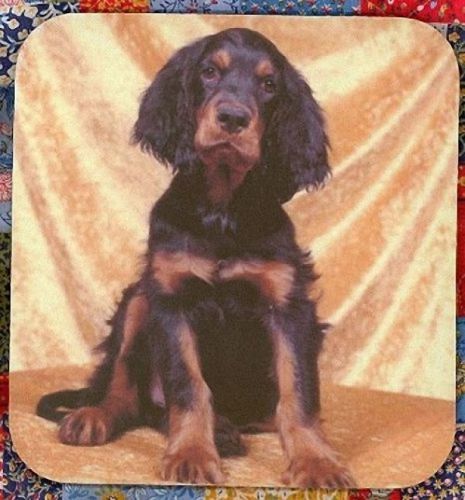 New GORDON SETTER PUPP Mouse Pad Mats Mousepad Hot Gift