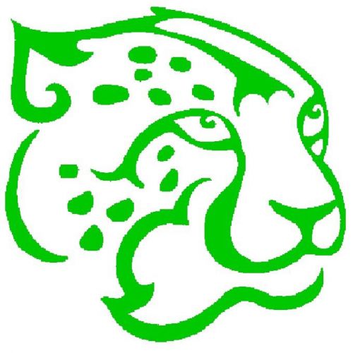 30 Custom Green Leopard Personalized Address Labels