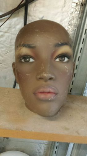 African american Mannequin head