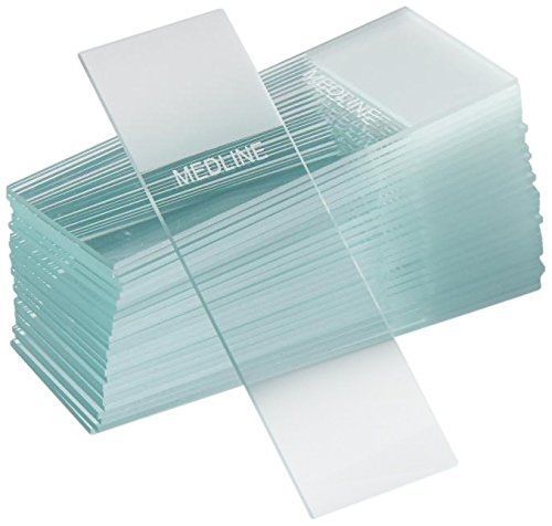 Medline Industries MLAB1304 Microscope Slides, Frosted, Ground Edges, 25 x 75mm,