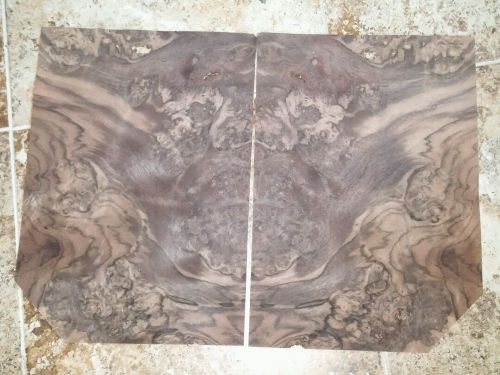 2 buckled pieces of Walnut Burl wood veneer 10 5/8&#034; x 15 1/8&#034; raw 1/42&#034; thick