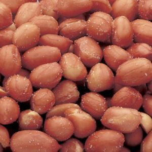 AZAR 7114796 Azar Roasted Salted Spanish Peanut 2lbs Bag, PK3