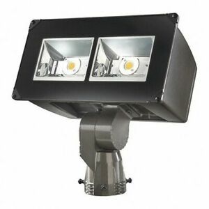 LUMARK WG/NFFLD Nffld Night Falcon