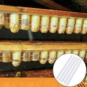 5pcs Beekeeping Double Row Queen Bee Device Set Artificial Beehive 63 Holes C