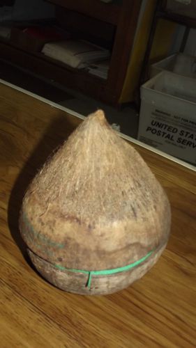 COCONUT - ZIPPER STORAGE CONTAINER - 6.5&#034; tall x 5.5&#034; wide