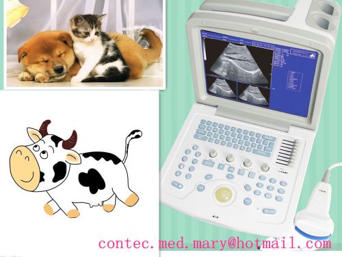 Vet veterinary used, portable ultrasound scanner system with 3.5mhz convex probe for sale