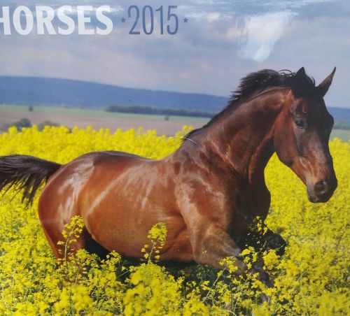 2015 HORSES Wall Calendar 12x12 NEW &amp; SEALED Outdoor Nature Animals Pony