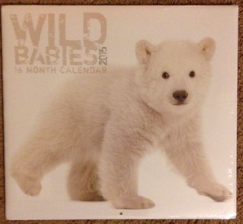 2015  Animal Babies12x12 16 Month Wild Babies  Calendar SEALED.