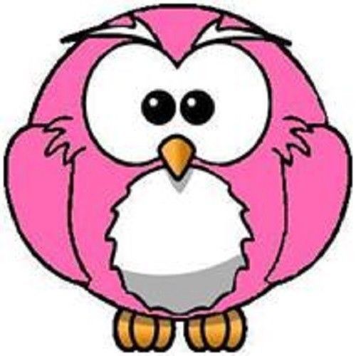 30 Custom Pink Owl Personalized Address Labels