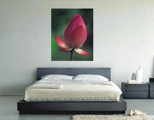 CANVAS ART PRINT Poster 30x24 Rose Flower Ready to Frame (Without Frame)-003