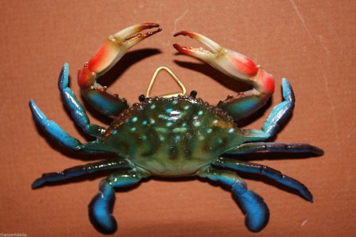 (10), BLUE CRAB, 6&#034;, CRAB DECOR FOR SEAFOOD RESTAURANTS,SEAFOOD DECOR,CRABS #XX