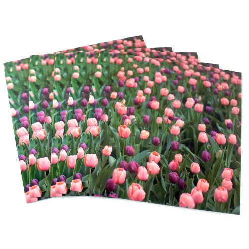 Set of 12” Spring Flowers Display Cube Panel Picture Inserts Decoration 89477