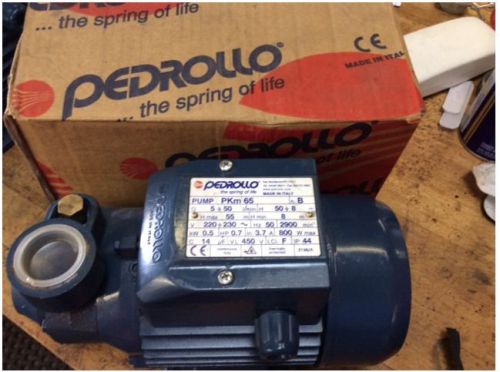 Pedrollo PKm 65 Pump, 220V 50 Hz cast iron body