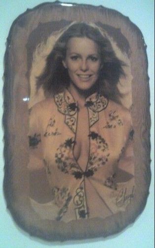Vintage Cheryl Ladd Hot girl Bought new 1978 Great in Game room