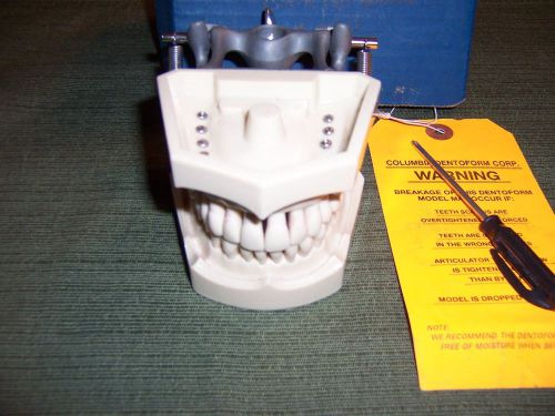 Columbia Dentoform &#034;XSM-R 660 no gums&#034; Dental Model