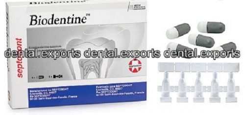 NEW DENTAL BIODENTINE Bioactive Dentin Substitute