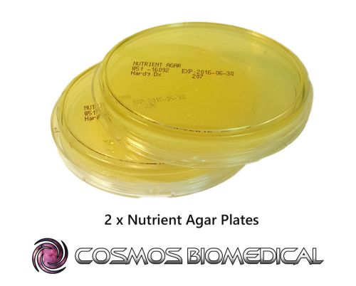 Nutrient Agar Plates x 2 - Ready made Agar Plates in Petri Dishes