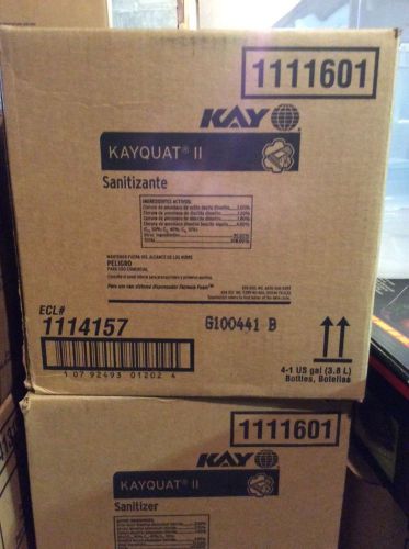 Ecolab Kayquat II Sanitizante 1111601 Case of 4 one gallon bottles