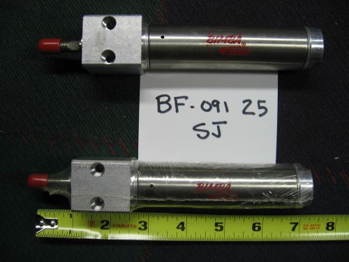 TWO NEW - Bimba Stainless Pneumatic Cylinders - BF-091 25 SJ - NOS