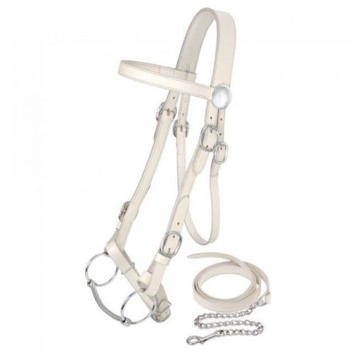 King Series Draft Horse White Leather Show Halter Bridle Chain Lead Line Bit