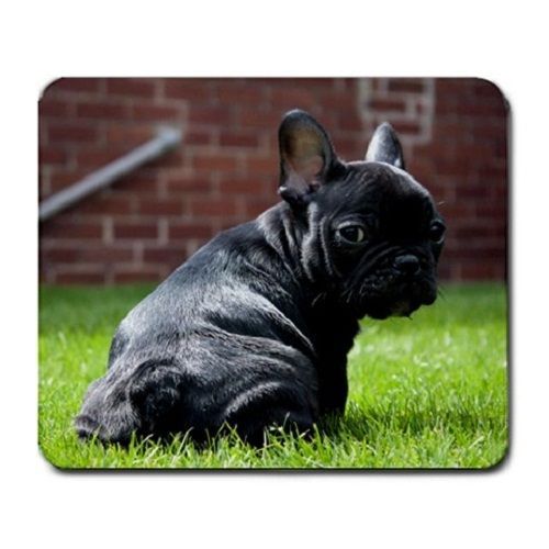 Black French Bulldog Puppy Puppies Dogs Pets Animal Large Mousepad Mouse Pad