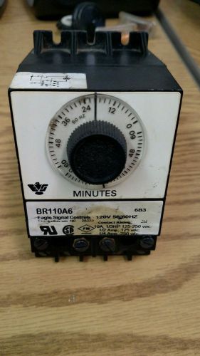Eagle Signal BR110A6 Timer Control