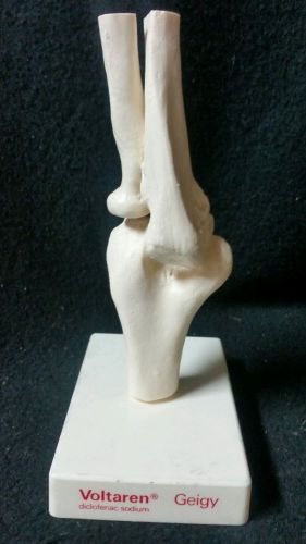 Vintage Voltaren Elbow Joint Bones Skeleton Anatomical Bone Model