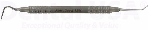 Dental USA 2813 Burnishers Calcium Hydroxide Placer Pich - Two Packs