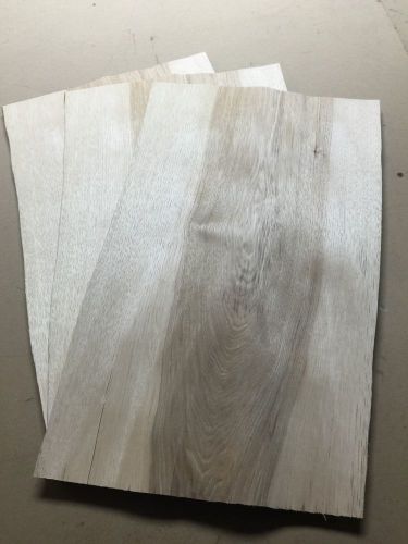 Wood Veneer Hickory 13x25 20Pcs Total Raw Veneer  &#034;EXOTIC&#034; HI6 3-17-16