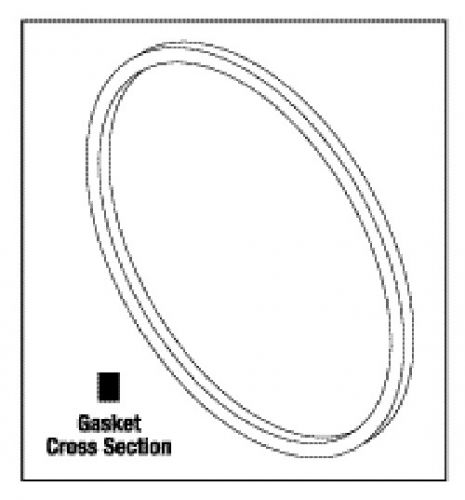 New OEM RPI MDG013  DOOR GASKET  AQUACLAVE 20,CHEMICLAVE 5500&amp;7000