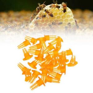 10Pcs Bee Queen Yellow Cage Protective Cover Beekeeping Tools Protector Cages Hj