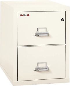 Fireking Fireproof Vertical File Cabinet (2 Letter Sized Drawers, Impact Resista