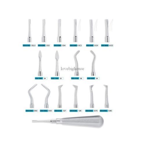 10Pcs KangQiao Dental Instrument Root Elevator 2# SS3