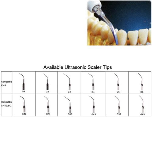 Dental Ultrasonic Scaler Tips G1 G2 G3 G4 G5 G6&amp; G1S G2S G3S G4S G5S G6S