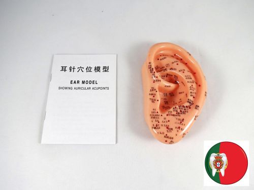 Professional Medical and Educational Model Acupuncture Ear 13cm IT-096 ARTMED