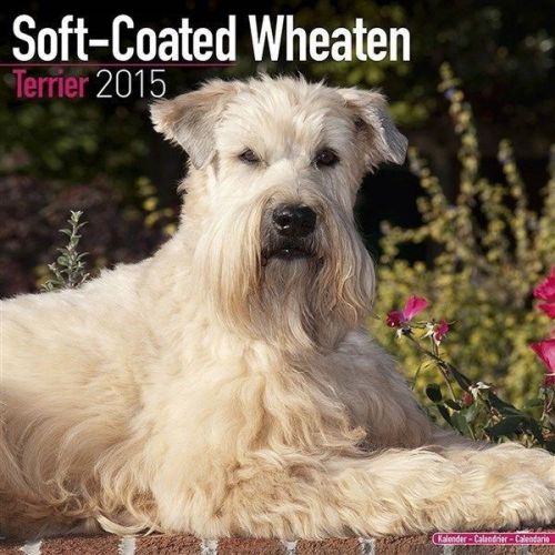 NEW 2015 Soft-Coated Wheaten Terrier Calendar by Avonside- Free Priority Shippin