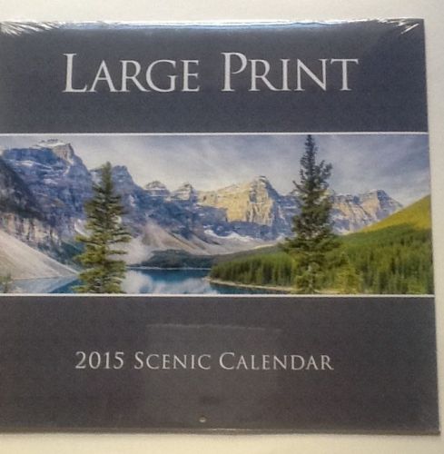 LARGE PRINT LOW VISION Scenic 2015 Wall Calendar NEW Seasonal Designs